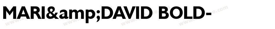 MARI&DAVID BOLD字体转换
